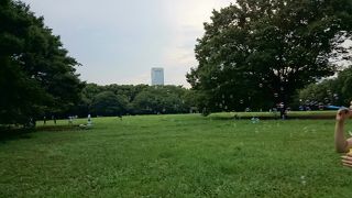 代々木公園
