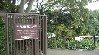港の見える丘公園ならび