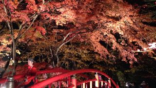 紅葉の時期最高！