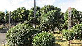 何もありませんでした