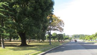 皇居を囲っている広大な国民公園です