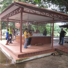 ワット マハータート