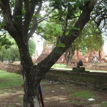 ワット マハータート