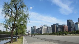 外国人の姿がたくさん見られます