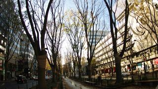 道路の真ん中の憩いスポット