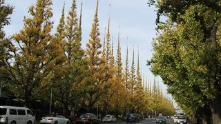 旨い物沢山あるます。