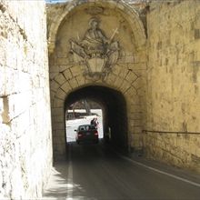 外側ははちみつ色が目立ちます