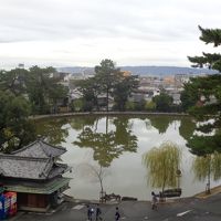 さるさわの池の前です。