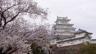 ６年半前と比べると、屋根の白さが際立つ