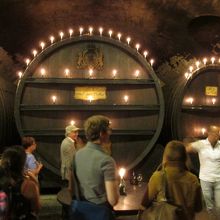 一生懸命説明してくれます