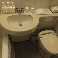 アメニティは勿論ドライヤーも完備。トイレはウォシュレット。