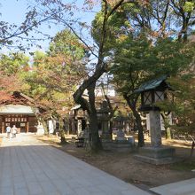 神社の敷地には、木々がいっぱい