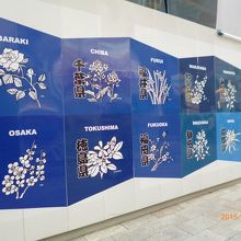 建設中の防御壁に47都道府県の県花が紹介されていました