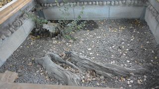 唯一の石山本願寺の名残り