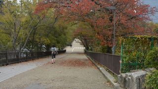 ダラダラ坂とも言ったそうです