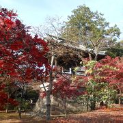 紅葉に散歩に最高なお寺☆