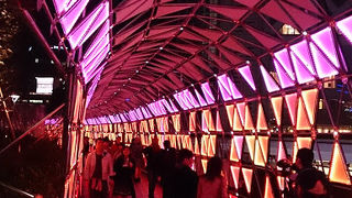 かなりの規模のイルミネーション