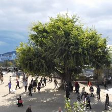 大天守見学後、外に出て見た備前丸