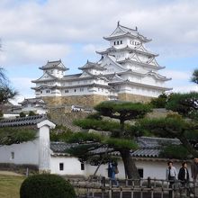 さらに坂を上ると周りは木がたくさん生えて緑豊かな天守群を見る