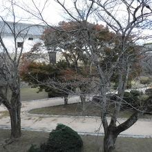 西の丸。後ろの建物は百廊下