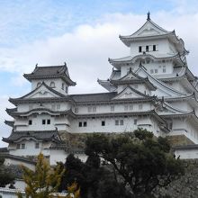 上の写真のアップ