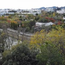 廊下からの眺め。好古園が見えます。