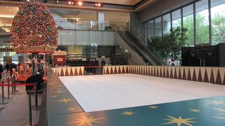 アイススケートリンクが設置されました