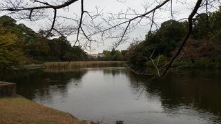 県営公園の中で最も長い歴史を持つ、大宮公園
