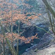 お散歩ハイキング・トロッコ道・入川渓谷から赤沢出合いまで In埼玉県・秩父