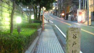 登れば公園があるよ