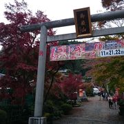 ライトアップのもみじ祭りで、ジャズ堪能。 In埼玉県・吾野