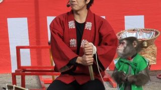 もみじまつり期間中はイベントが開催されます