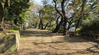 加賀藩下屋敷跡にある公園です