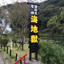 庭園もきれいです。