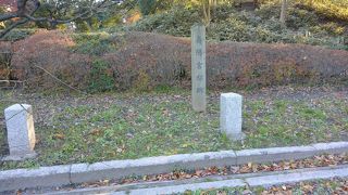 出水口の近くにあります