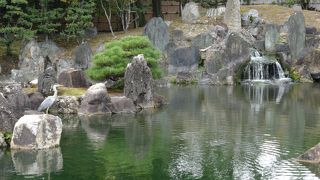 鷺がいました。