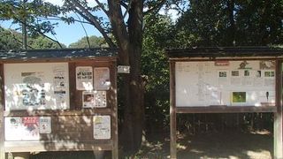 入り口には、その日、見る事のできるお花やイベント等を見る事のできる掲示板が有りますので、そこで確認した上で公園に入ってみては、どうでしょう。