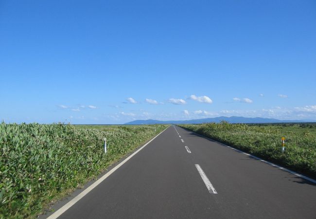 道がメイン