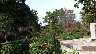 カエデが綺麗でした