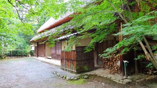 灰納屋や杉の生け垣をめぐらして散居農家の屋敷景観を復元