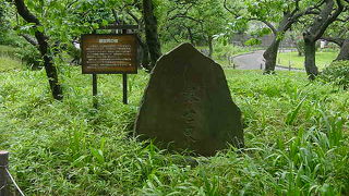 江戸時代の梅林を移設しました