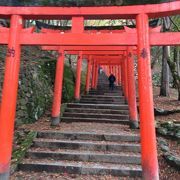 赤い鳥居がたくさん！