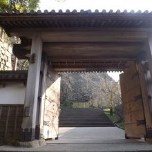 延岡城址で撮影