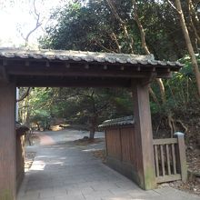 日知屋城跡で撮影