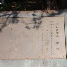 日知屋城跡で撮影