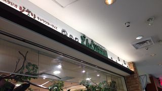 トトロがいっぱいでした