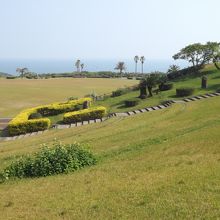 日向岬グリーンパークで撮影