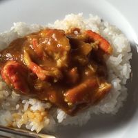 カニカレー！めちゃくちゃ美味しかったです！