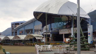 一年中阿波おどりが見れます。