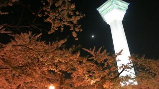 夜桜のライトアップ